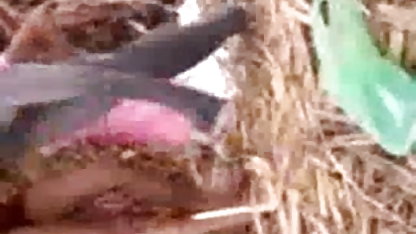முகமூடி அமெச்சூர், களியாட்டம் வீடியோக்கள் அணிந்த பெண்ணுடன் அநாமதேய சந்திப்பு