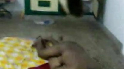 இரண்டு சிப்ஸில் ஒரு அமெச்சூர், களியாட்டம் வீடியோக்கள் சேவல்