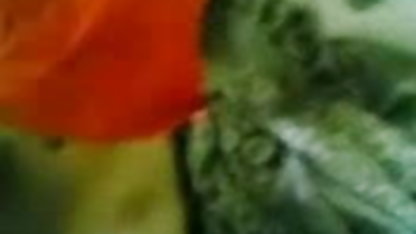 முகப்பு அமெச்சூர் செக்ஸ் கிளிப்புகள் ஆல்பம் வீடியோ