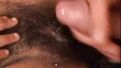 வெள்ளை குஞ்சு முகாம் தங்க நிற பல பளப்பான முடி
